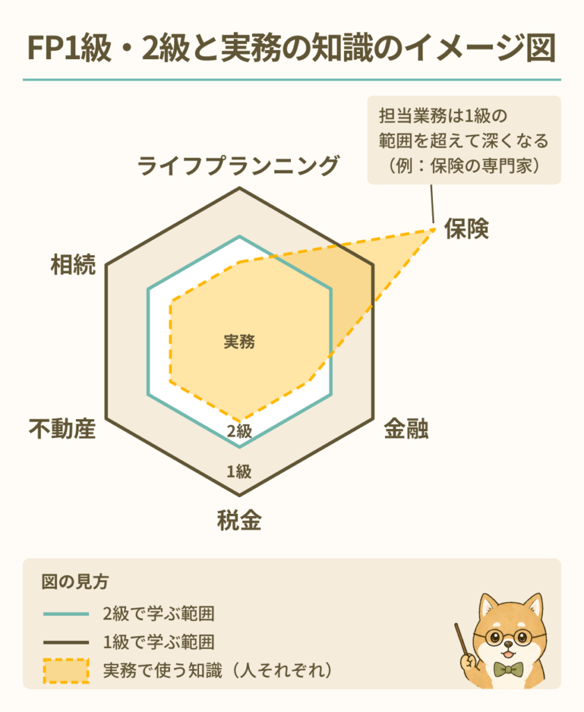 FP1級と2級と実務知識のイメージ図