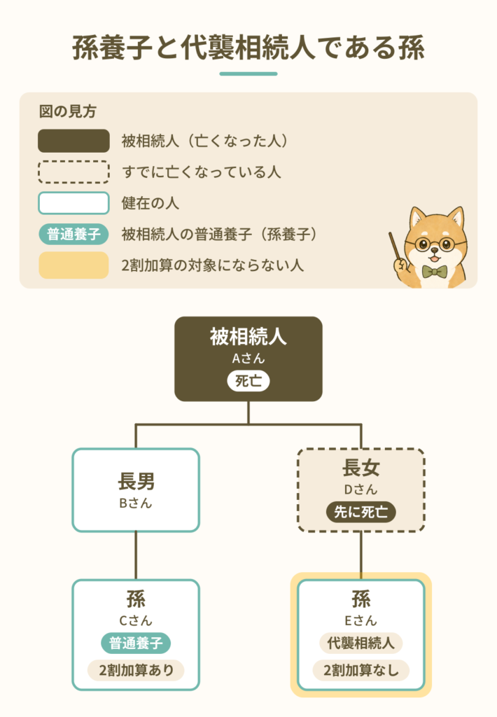 孫養子と代襲相続人である孫 （相続税の2割加算）